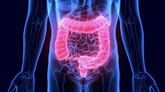 Better Gut Health = Better Mental Health