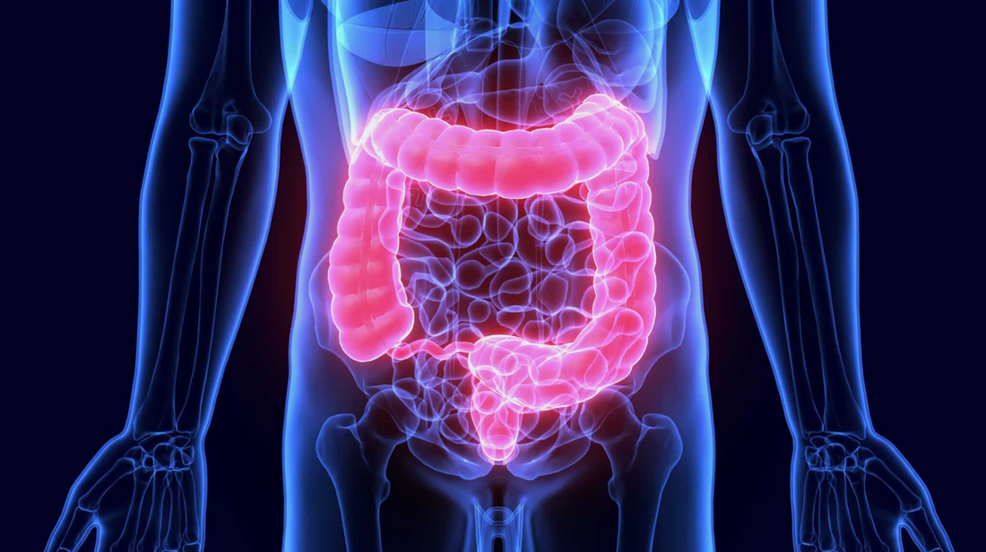 Better Gut Health = Better Mental Health